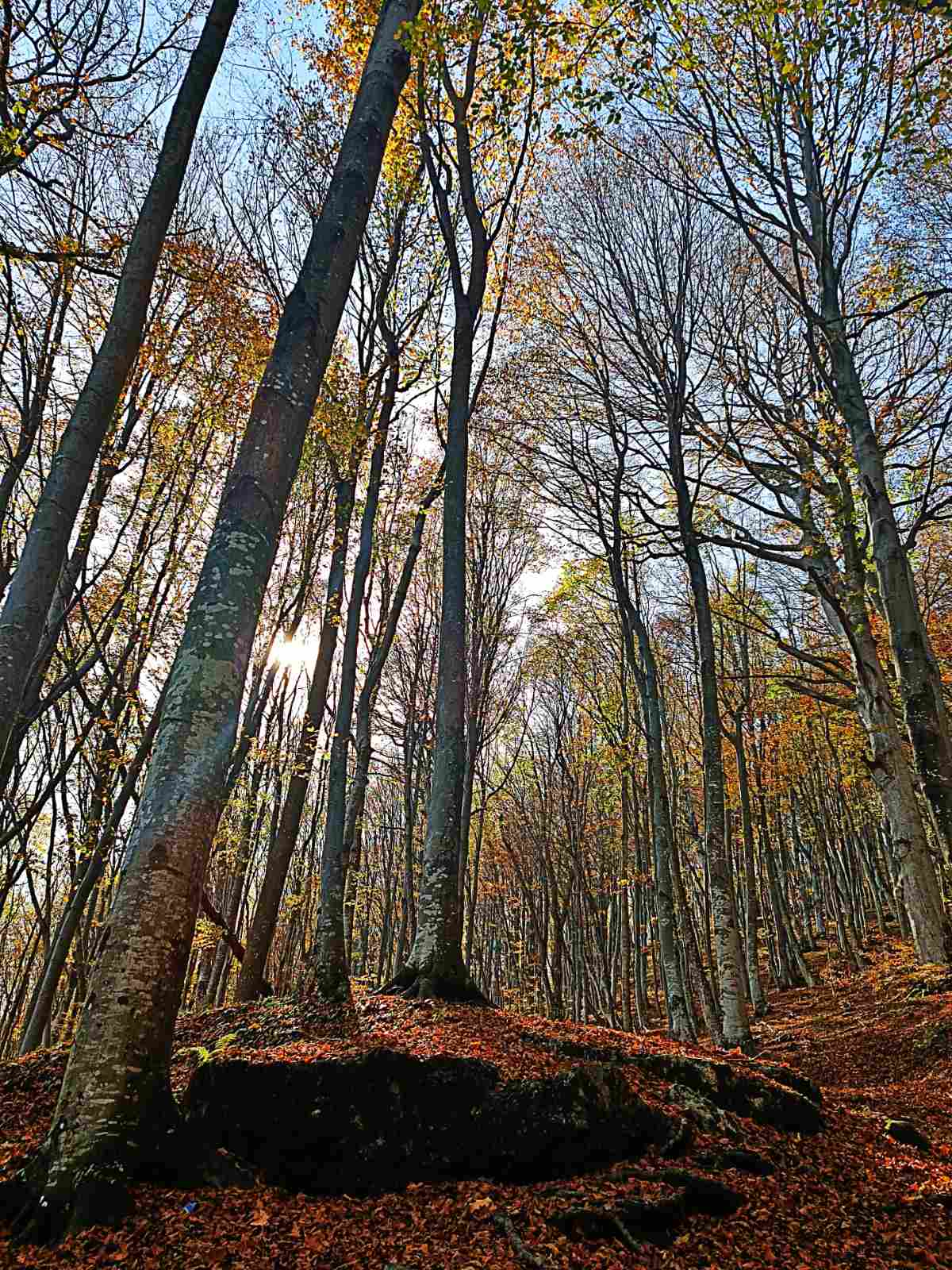 placeholder image-sq